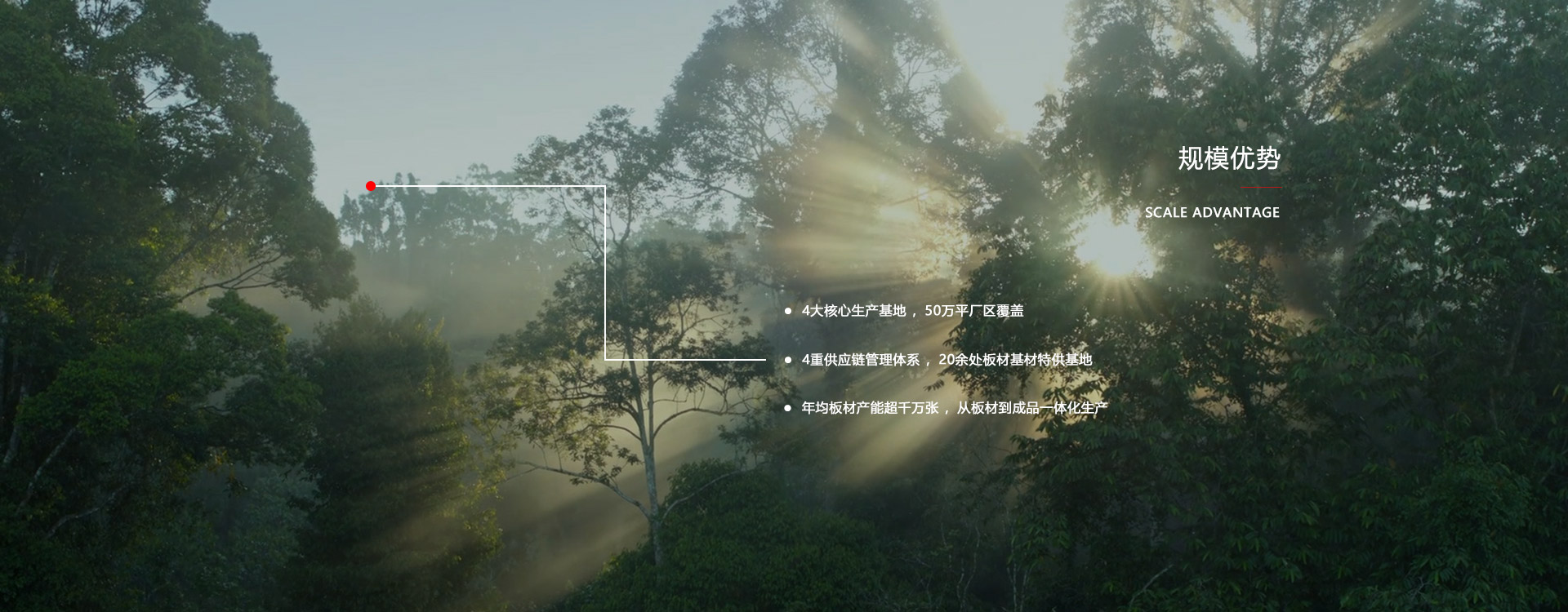 bevictor伟德板材厂家规模