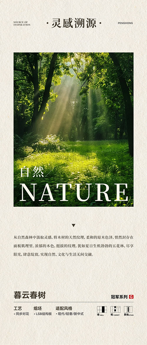 bevictor伟德LSB结构板